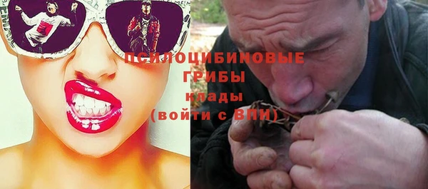 трава Армянск
