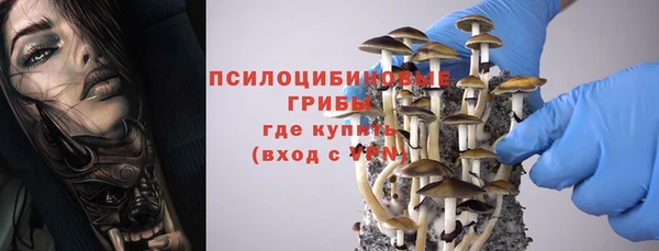 трава Армянск