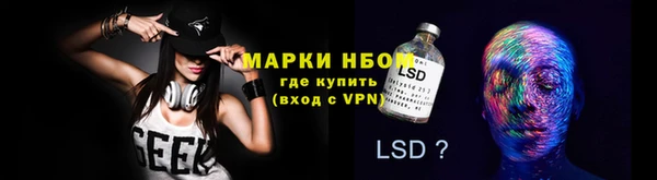 spice Аркадак