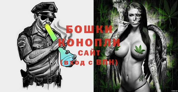 ГАЛЛЮЦИНОГЕННЫЕ ГРИБЫ Арсеньев