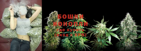 spice Аркадак