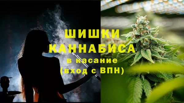 spice Аркадак
