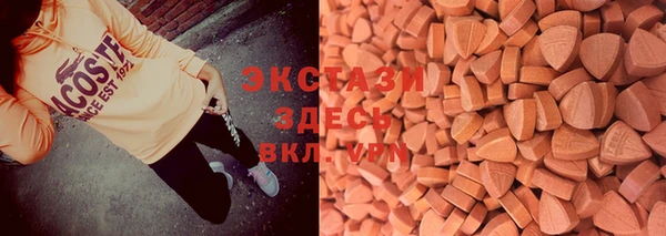 spice Аркадак