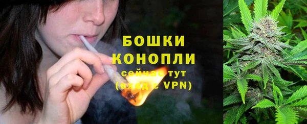 трава Армянск