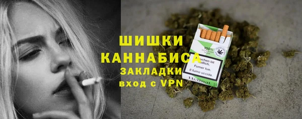 spice Аркадак